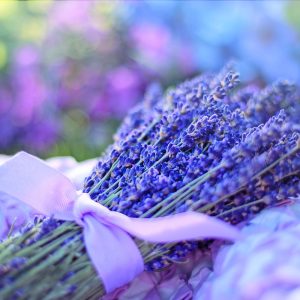 Lavendel - Duftende Option