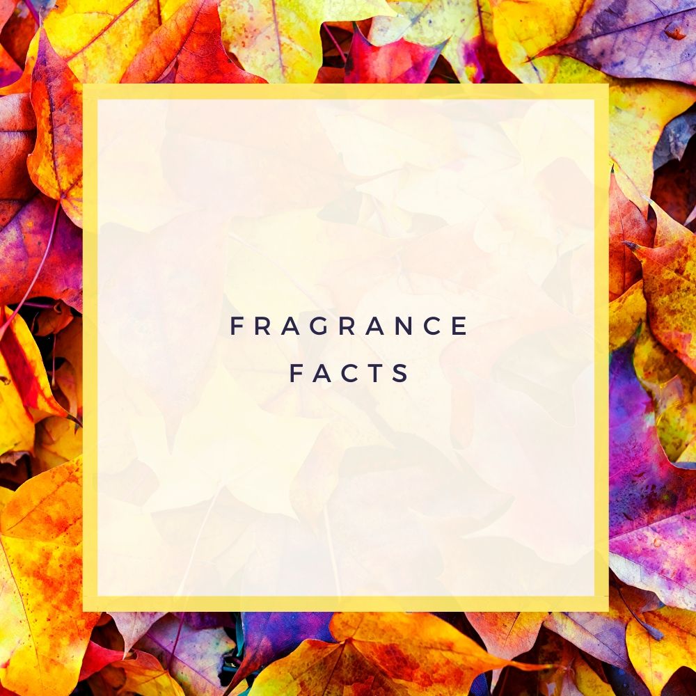 Fragrance facts – celebrating world fragrance day